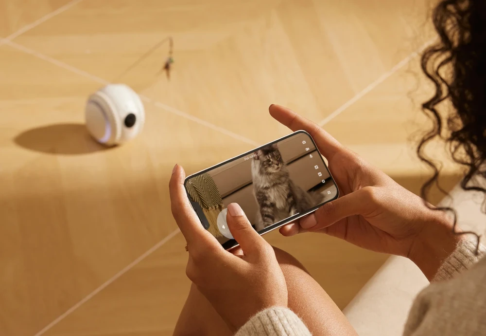 best pet video camera